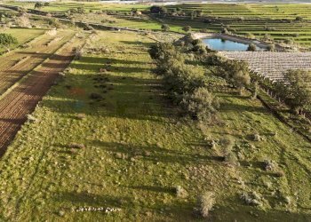 Casa all\'aperto - Agricultural land contrada vaito
snc, Caltagirone - photo 13