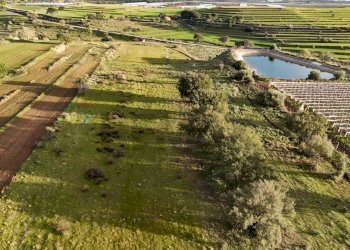 Casa all\'aperto - Agricultural land contrada vaito
snc, Caltagirone - photo 14