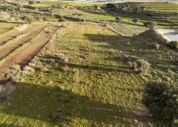 Vista delle montagne - Agricultural land contrada vaito
snc, Caltagirone - photo 16