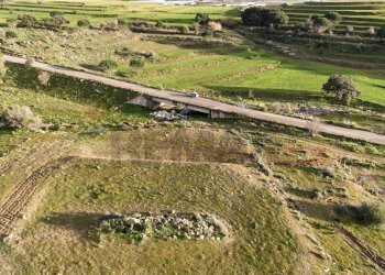 Giardino - Agricultural land contrada vaito
snc, Caltagirone - photo 19