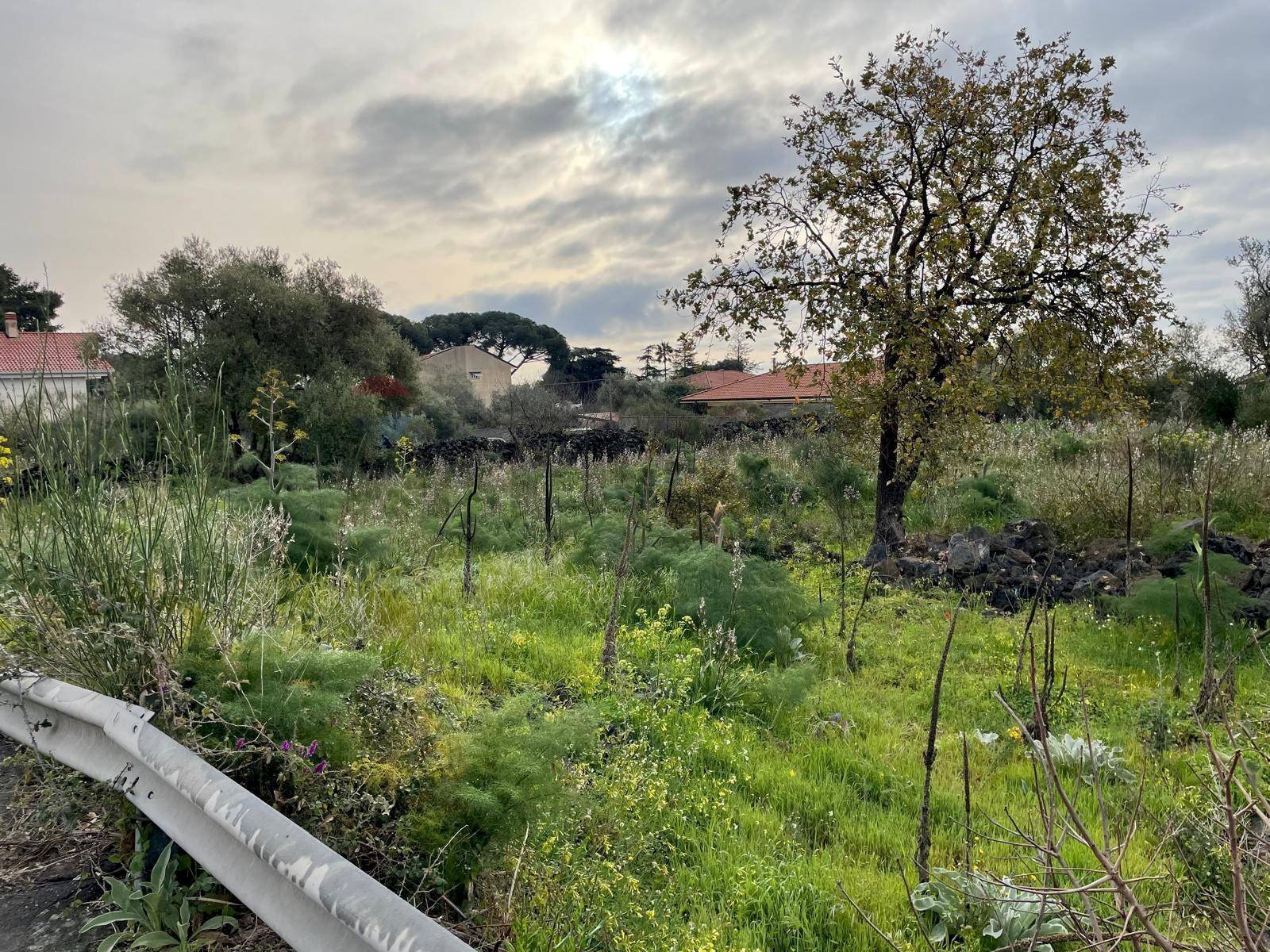 Giardino - Agricultural land Via delle sciare, Tremestieri Etneo - photo 1