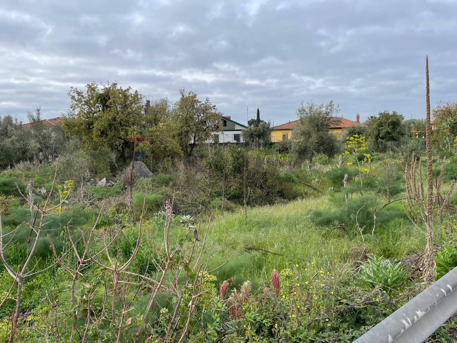 Giardino - Agricultural land Via delle sciare, Tremestieri Etneo - photo 2