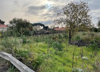 Giardino - Terreno agricolo Via delle sciare, Tremestieri Etneo - foto 1