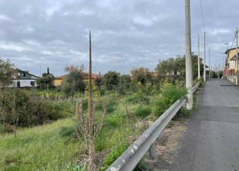 Giardino - Terreno agricolo Via delle sciare, Tremestieri Etneo - foto 4