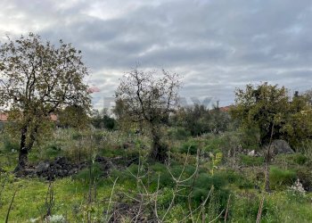 Giardino - Terreno agricolo Via delle sciare, Tremestieri Etneo - foto 5