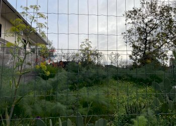 Giardino - Terreno agricolo Via delle sciare, Tremestieri Etneo - foto 8