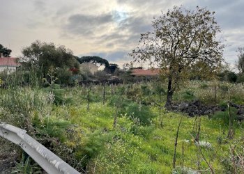 Giardino - Terreno agricolo Via delle sciare, Tremestieri Etneo - foto 9