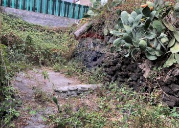 Giardino - Rustico Via Sciara
 
46, Tremestieri Etneo - foto 7