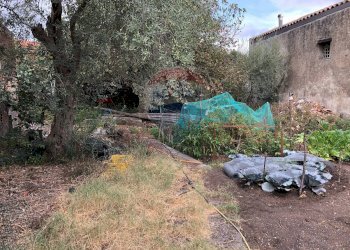 Giardino - Rustico Via Sciara
 
46, Tremestieri Etneo - foto 10