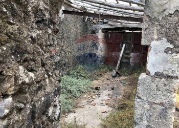 Giardino - Rustico Via Sciara
 
46, Tremestieri Etneo - foto 12