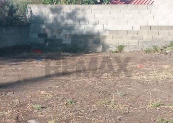 Giardino - Terreno agricolo via augusta, c.da ragala, Nicolosi - foto 6