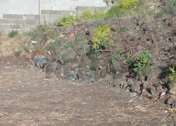 Giardino - Terreno agricolo via augusta, c.da ragala, Nicolosi - foto 8