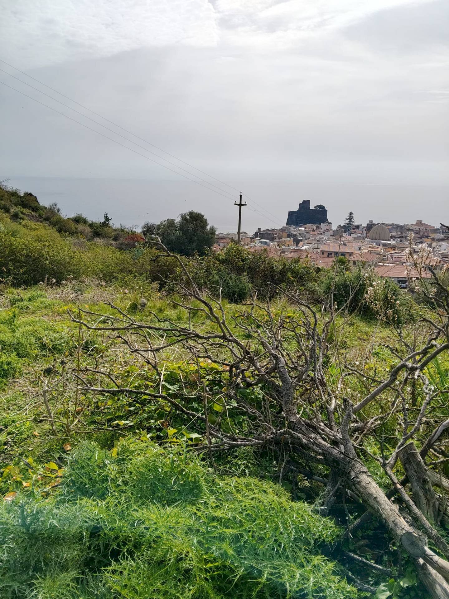 Vista delle montagne - Terreno agricolo Via Stazione
12, Aci Castello - foto 2