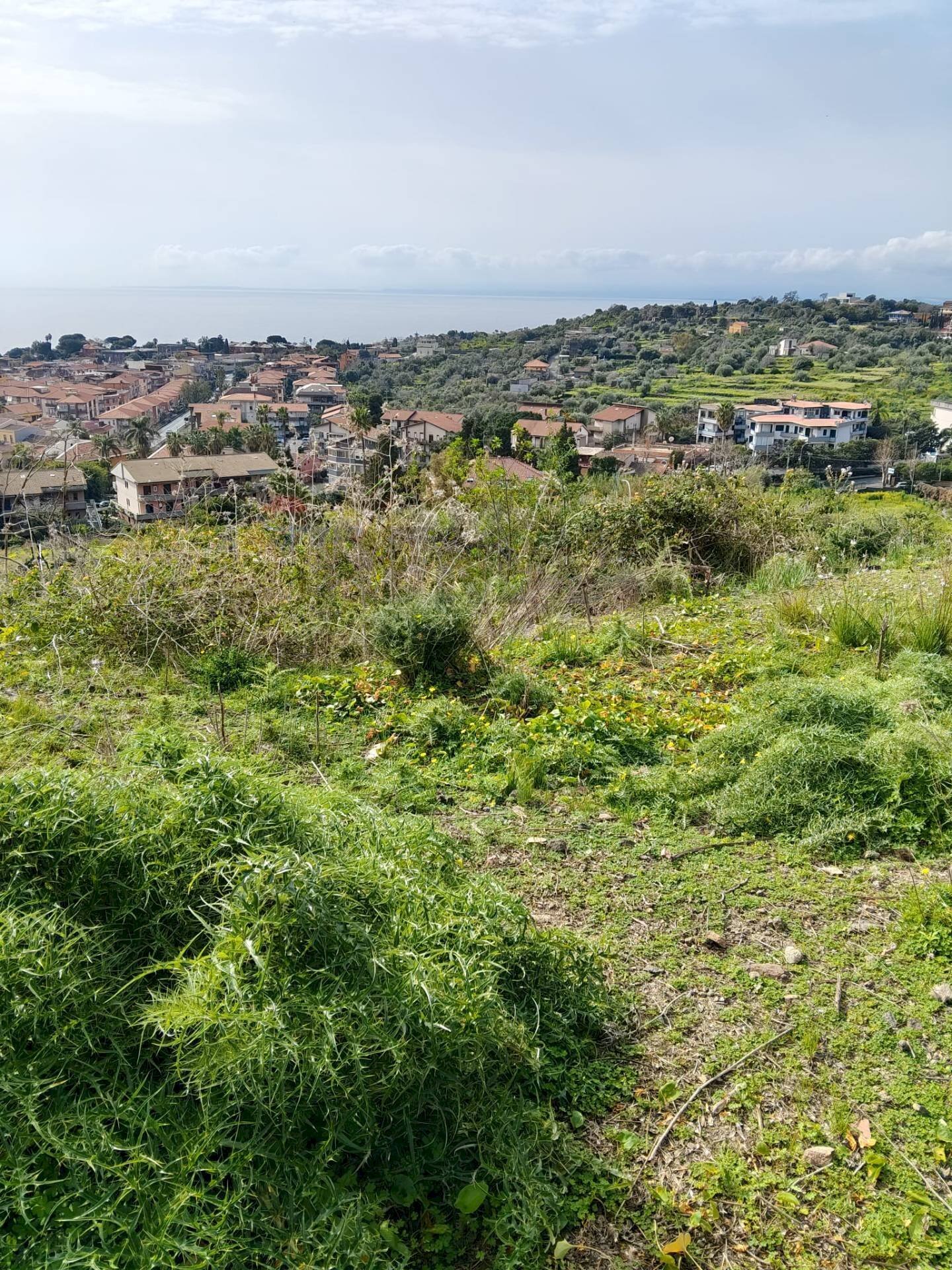 Vista delle montagne - Terreno agricolo Via Stazione
12, Aci Castello - foto 3
