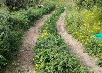 Giardino - Terreno agricolo Via Stazione
 
12, Aci Castello - foto 4