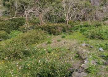 Vista delle montagne - Terreno agricolo Via Stazione
 
12, Aci Castello - foto 6