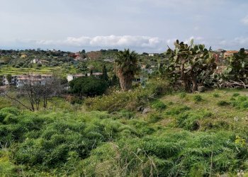 Giardino - Terreno agricolo Via Stazione
 
12, Aci Castello - foto 10