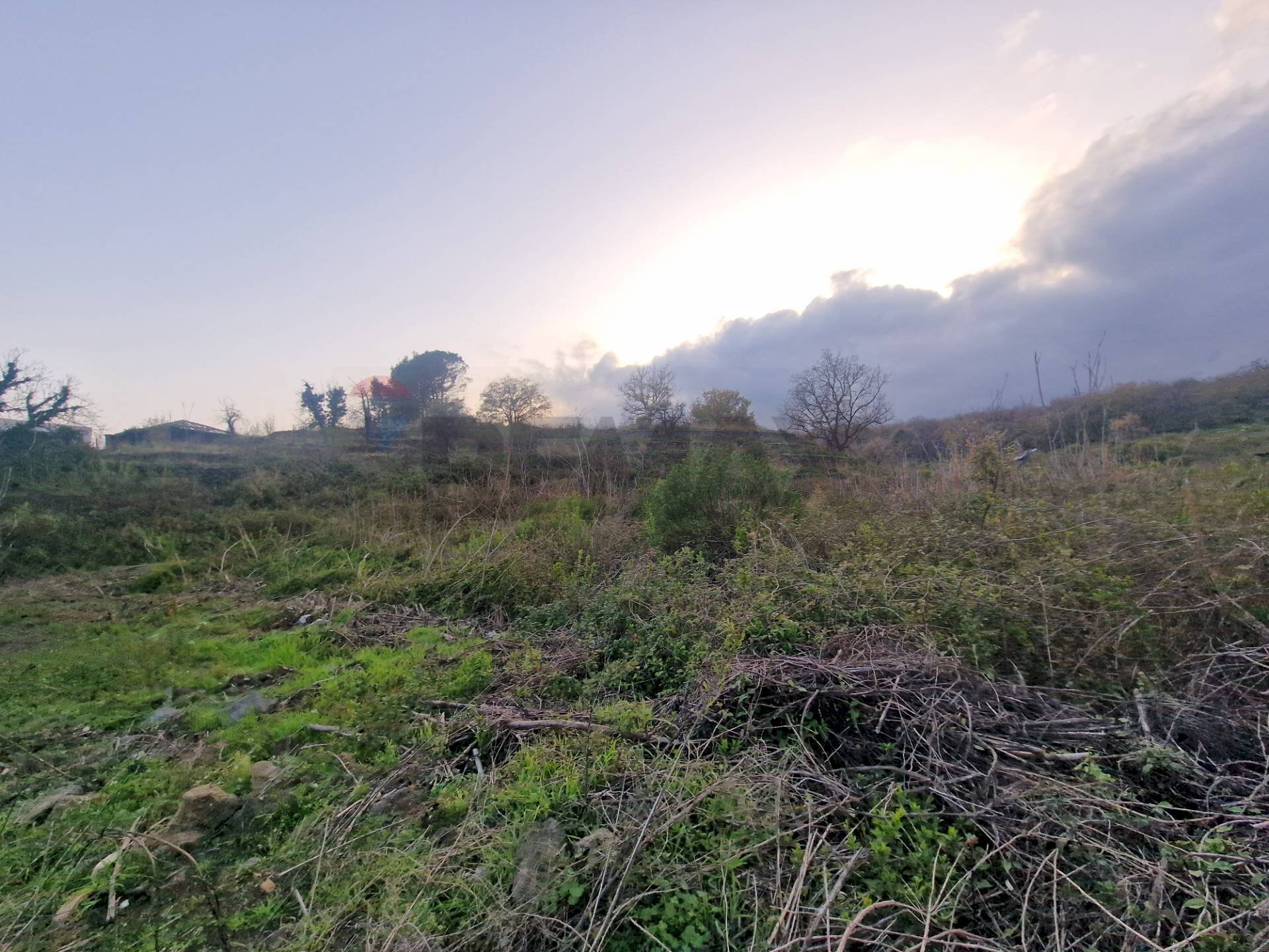 Vista delle montagne - Terreno agricolo via grazia deledda, Santa Venerina - foto 2