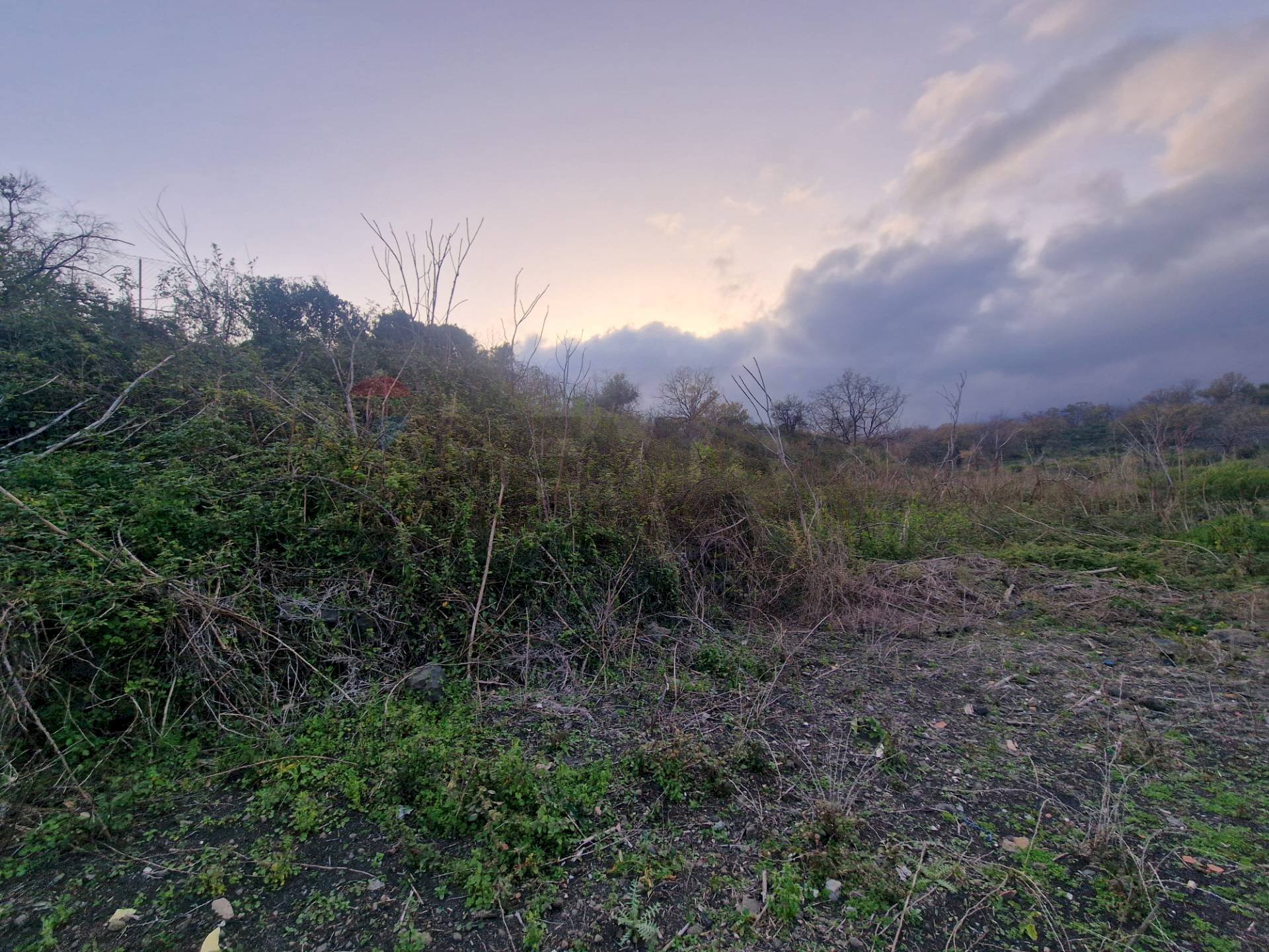 Vista delle montagne - Terreno agricolo via grazia deledda, Santa Venerina - foto 3