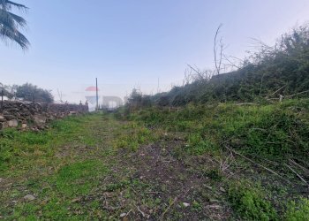 Non correlato - Terreno agricolo via grazia deledda, Santa Venerina - foto 4