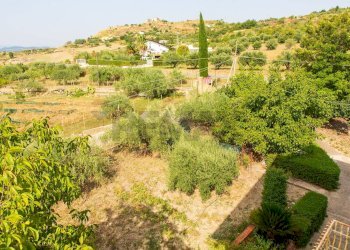 Giardino - Villa Contrada San Giovanni
 
snc, Leonforte - foto 20