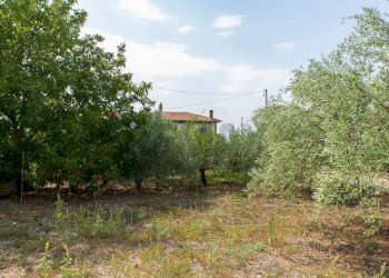 Giardino - Villa Contrada San Giovanni
 
snc, Leonforte - foto 24
