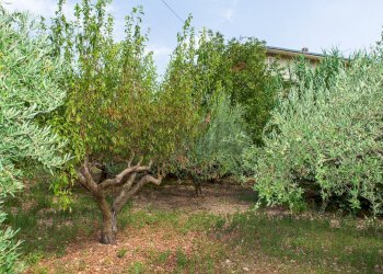 Giardino - Villa Contrada San Giovanni
 
snc, Leonforte - foto 26