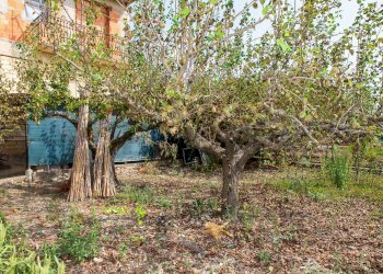 Giardino - Villa Contrada San Giovanni
 
snc, Leonforte - foto 28