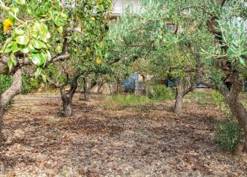 Giardino - Villa Contrada San Giovanni
 
snc, Leonforte - foto 29