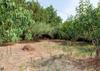 Giardino - Villa Contrada San Giovanni
 
snc, Leonforte - foto 34