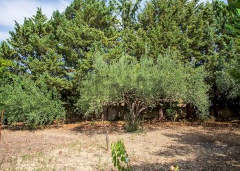 Giardino - Villa Contrada San Giovanni
 
snc, Leonforte - foto 36