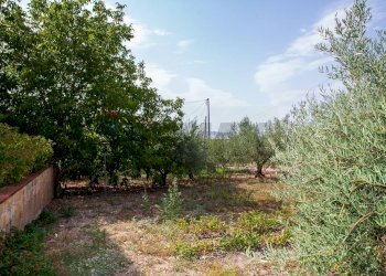 Giardino - Villa Contrada San Giovanni
 
snc, Leonforte - foto 38