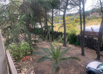 Giardino - Villa Via Pirandello, Pedara - photo 20