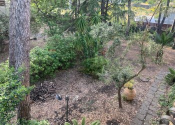 Giardino - Villa Via Pirandello, Pedara - photo 26