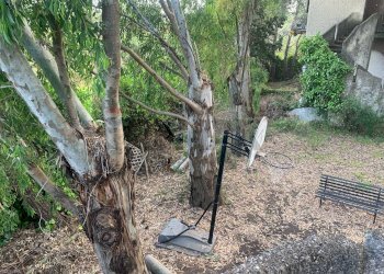 Giardino - Villa Via Pirandello, Pedara - photo 27