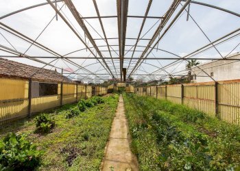 Giardino - Rustico STRADA PROVINCIALE PER RIPOSTO
 
122, Acireale - foto 5