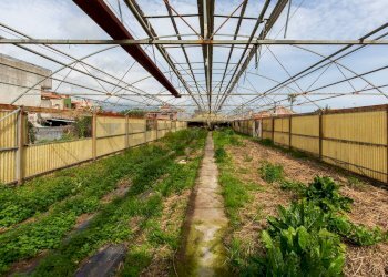 Giardino - Rustico STRADA PROVINCIALE PER RIPOSTO
 
122, Acireale - foto 6