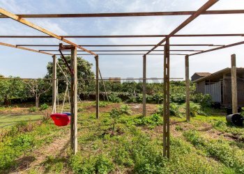 Giardino - Rustico STRADA PROVINCIALE PER RIPOSTO
 
122, Acireale - foto 20