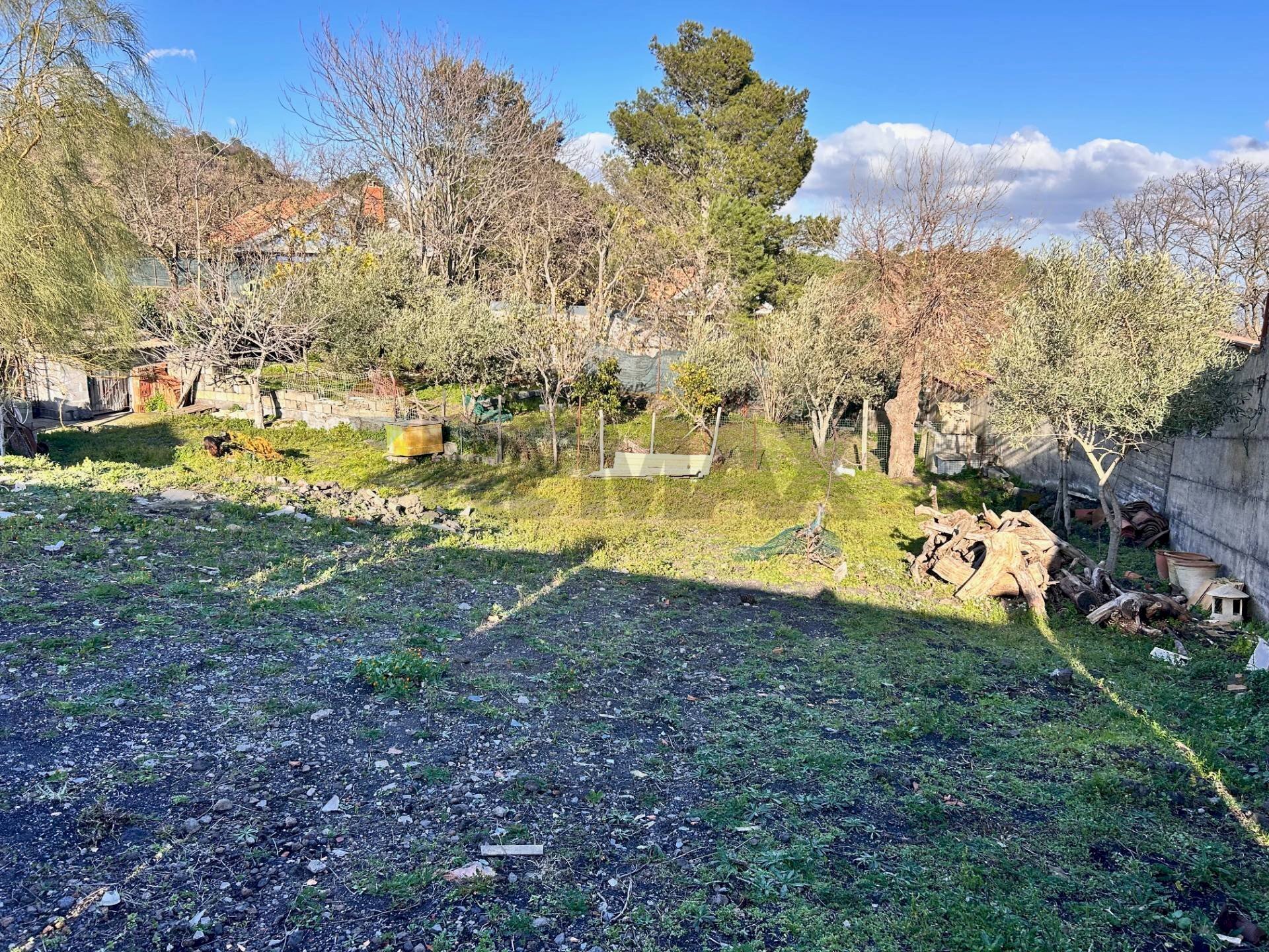 Giardino - Terreno agricolo Via Tremonti
 
snc, Pedara - foto 1