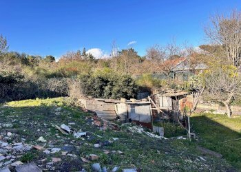 Giardino - Terreno agricolo Via Tremonti
 
snc, Pedara - foto 5