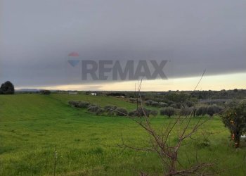 Giardino - Villa Contrada Favarella
 
snc, Grammichele - photo 19