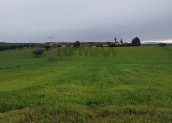 Giardino - Villa Contrada Favarella
 
snc, Grammichele - photo 21