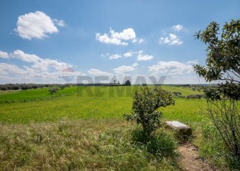 Giardino - Villa Contrada Favarella
snc, Grammichele - foto 23