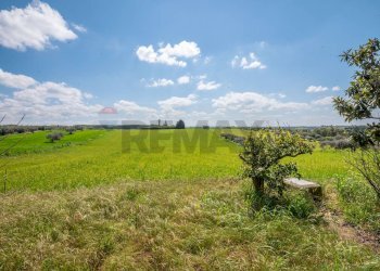 Giardino - Villa Contrada Favarella
snc, Grammichele - foto 24
