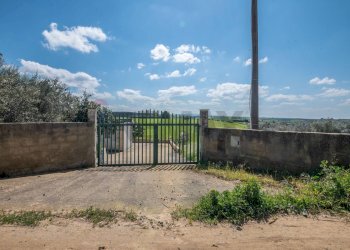 Giardino - Villa Contrada Favarella
snc, Grammichele - foto 28