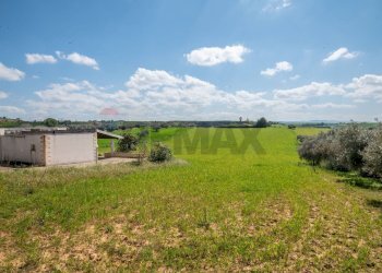 Giardino - Villa Contrada Favarella
snc, Grammichele - foto 33