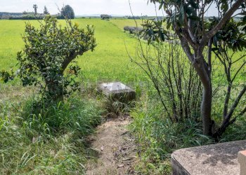 Giardino - Villa Contrada Favarella
snc, Grammichele - foto 34