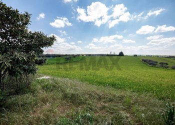 Giardino - Villa Contrada Favarella
snc, Grammichele - foto 35