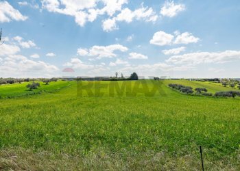 Giardino - Villa Contrada Favarella
snc, Grammichele - foto 36