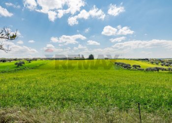 Giardino - Villa Contrada Favarella
snc, Grammichele - foto 37